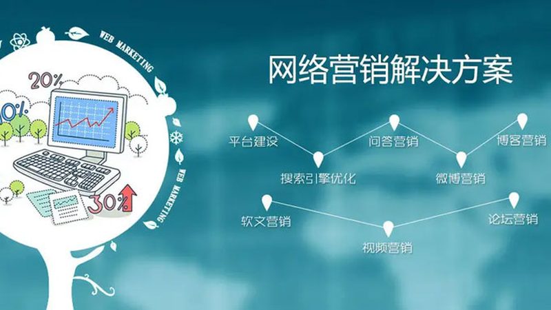 网络营销案例对比怎么写
