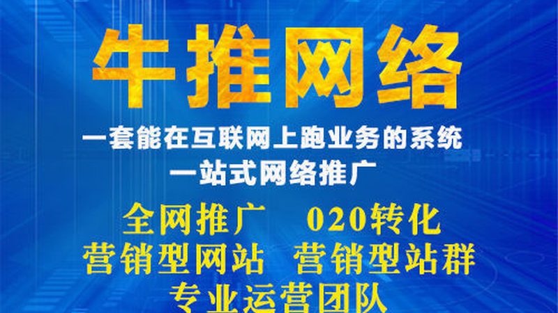 全网营销平台加盟代理：揭秘背后的商业逻辑**
